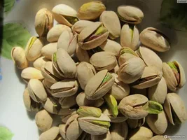 تصویر 1 از پسته فندقی خندان با کیفیت یکنواخت و طعم ماندگار